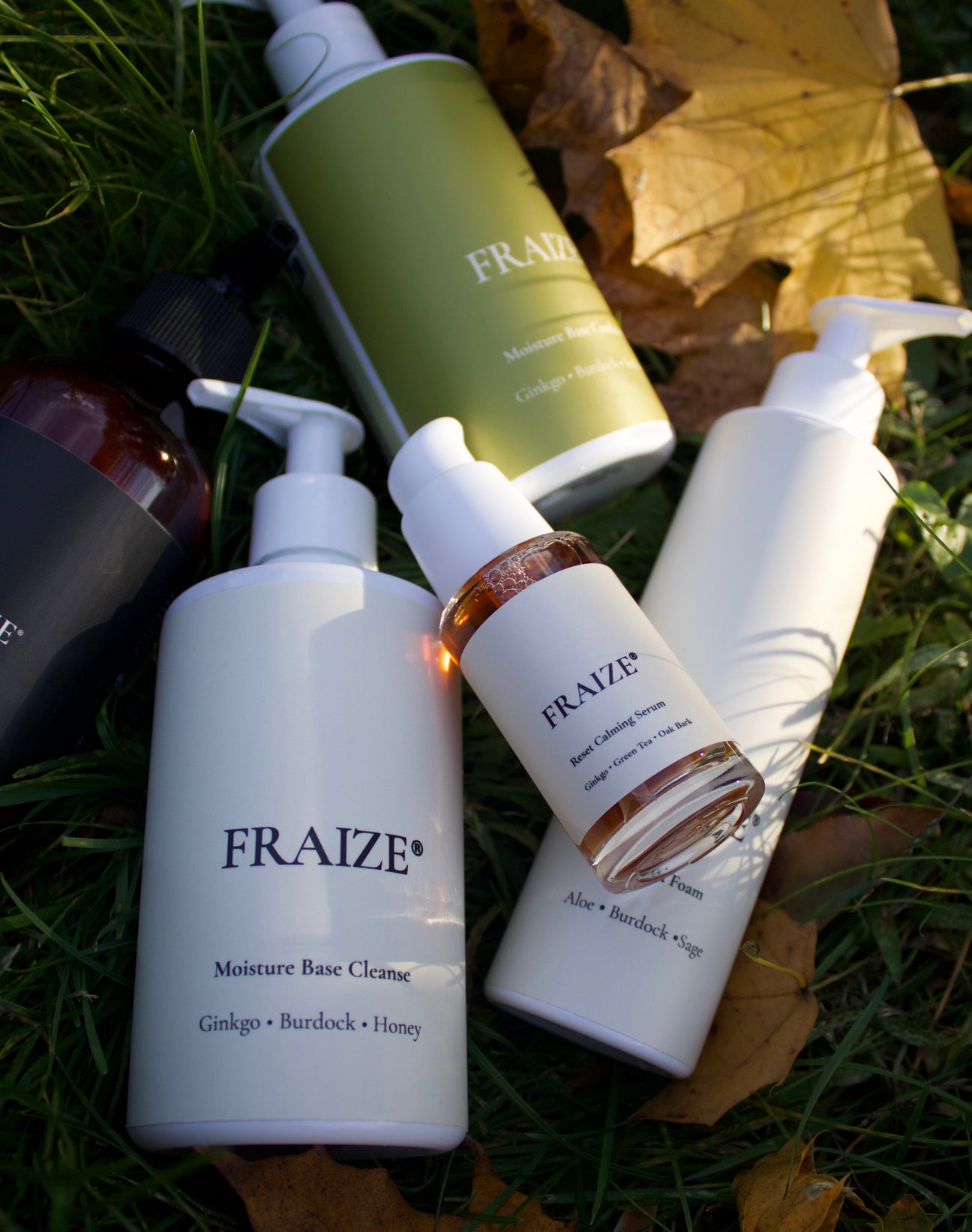 Fraize's Ginkgo At The Core products on top of grass and falls leaves. 