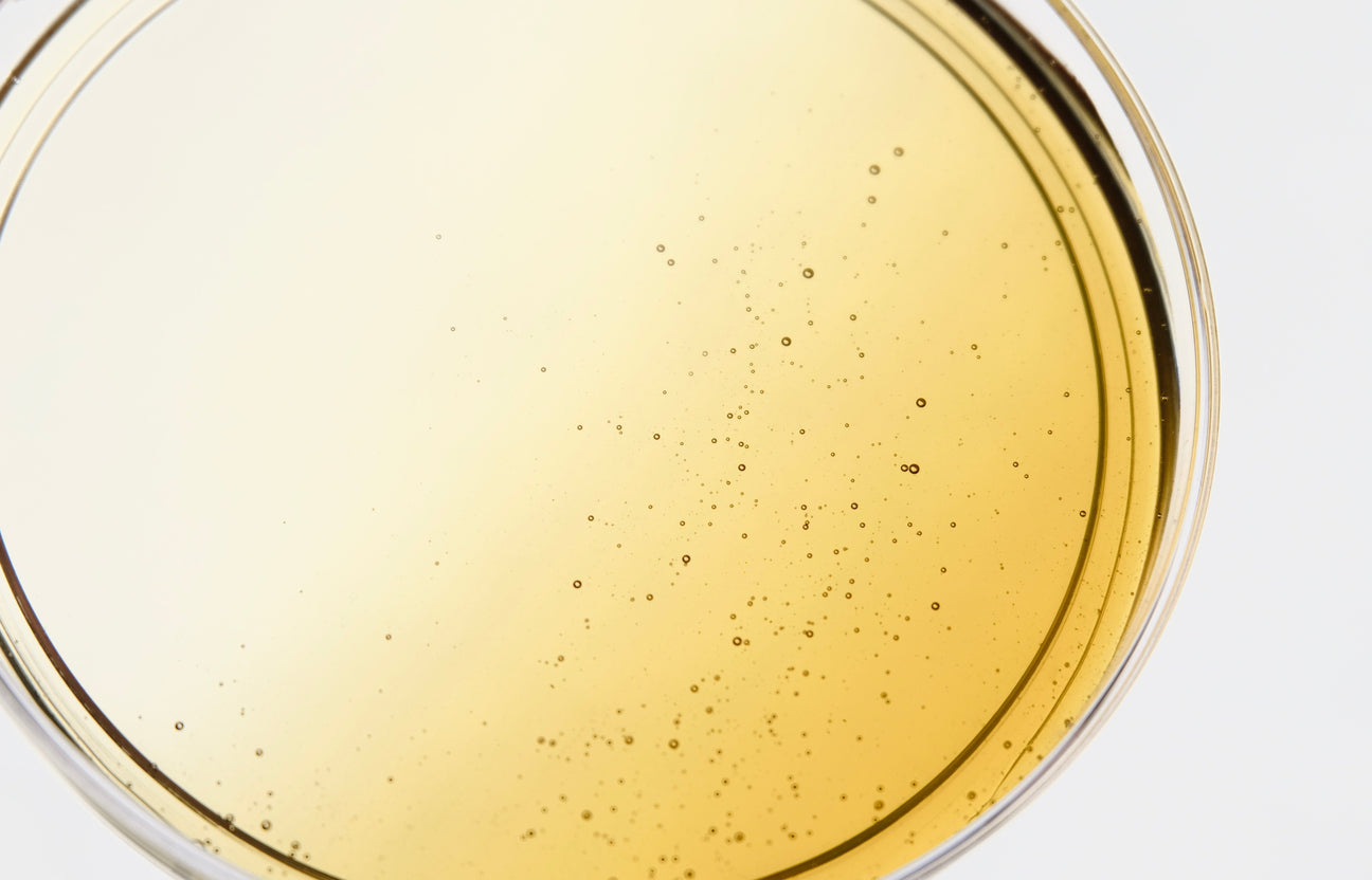 Get to Know Our Formulas