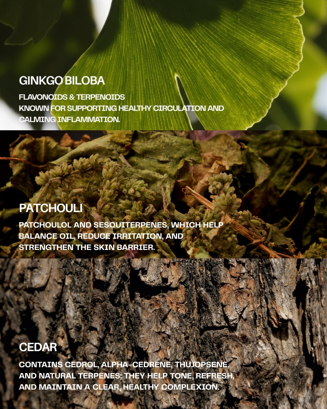 Patchouli Water Crème