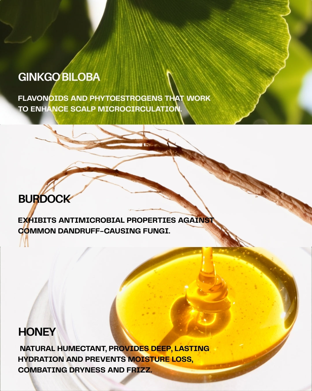 Moisture Base Cleanse